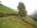 IMG_0084.jpg