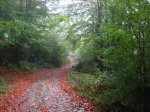 IMG_0106.jpg