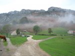 IMG_0118.jpg