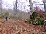 2006-11-04 Kedatta Aralar1013 (Medium).JPG