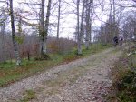 2006-11-04 Kedatta Aralar1018 (Medium).JPG