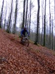 2006-11-04 Kedatta Aralar1035 (Medium).JPG