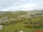 DSC00084.jpg