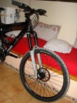 DSC00390.JPG
