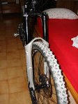 DSC00393.JPG