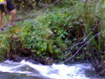 05112006016.jpg