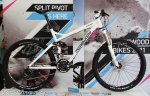 2011_morewood_split_pivot.jpg