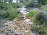 Foto131.jpg