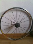 30062010061.jpg