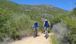 camino a cavanes.jpg