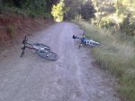 030920101203.jpg