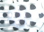 IMG301.jpg