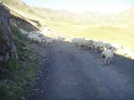 DSC04477.JPG