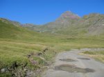 DSC04479.JPG
