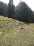 OPORRAK 2010 00038.JPG