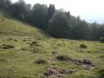 OPORRAK 2010 00036.JPG