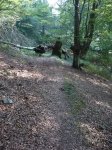 OPORRAK 2010 00043.JPG