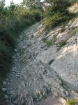 OPORRAK 2010 00045.JPG