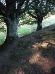 OPORRAK 2010 00040.JPG