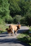 DSC_8666.jpg