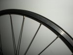 DSCN1014.jpg