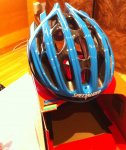 cASCO.jpg