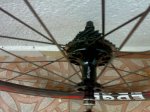 16082010081.jpg