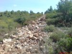 DSC05590.jpg