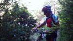 DSC00235.jpg