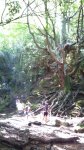 DSC00237.jpg