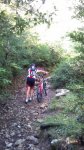 DSC00236.jpg