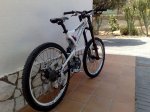 mongoose.jpg