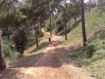 040920101264.jpg