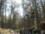 fonty hermy 004.jpg