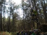 fonty hermy 005.jpg