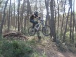 fonty hermy 015.jpg