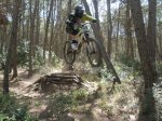 fonty hermy 019.jpg