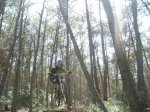 fonty hermy 020.jpg
