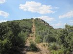 IMG_0145.jpg