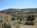 IMG_0132.jpg