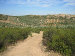 IMG_0123.jpg