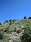 CIMG0557.jpg