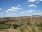 IMG_0139.jpg