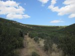 IMG_0143.jpg