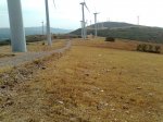Imagen050.jpg