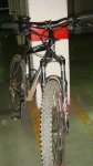 DSC01887.jpg