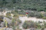 DSC_0130.jpg