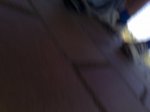 05092010465.jpg