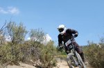 DSC_0218.jpg