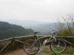 DSCN0781.jpg